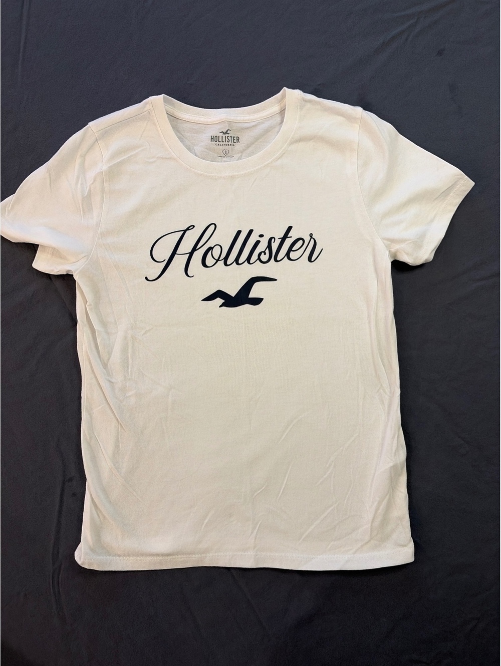 🤍 Hollister White Graphic T-Shirt | Size Small | Black Script Logo & Seagull